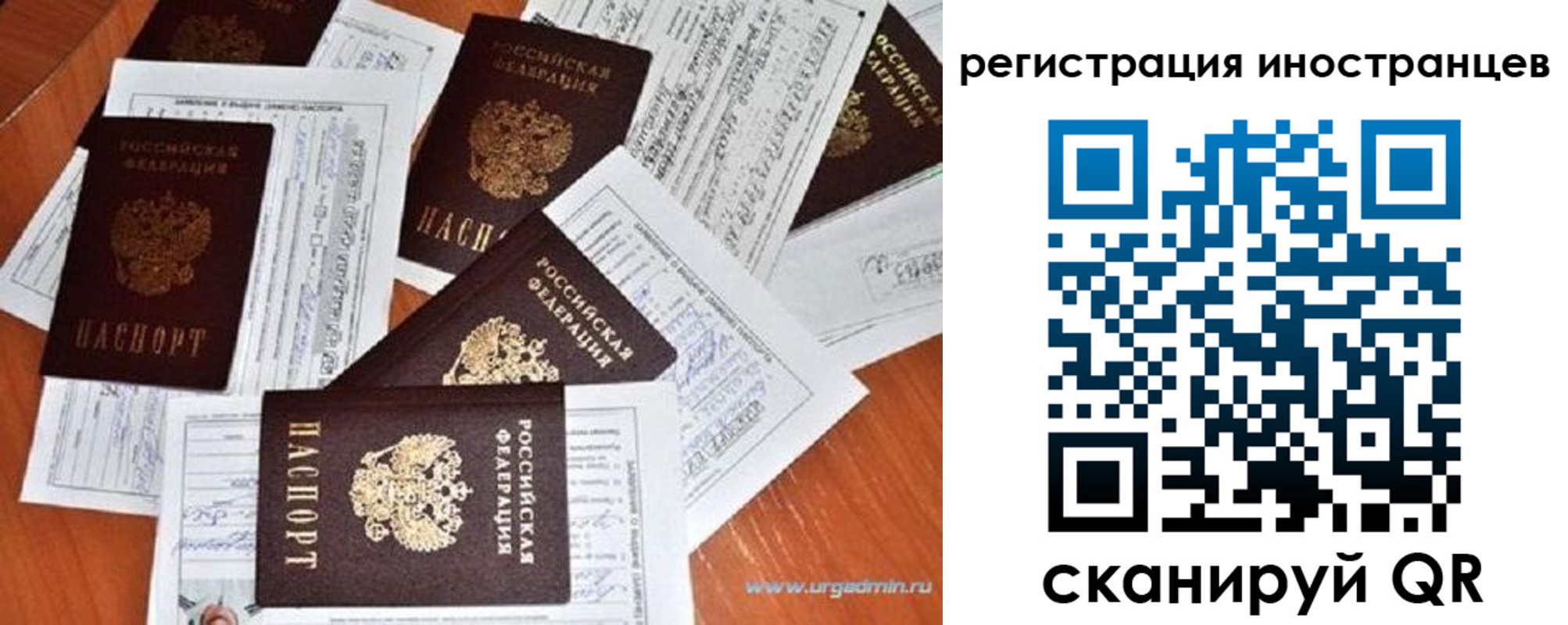 временная регистрация гарантия в Чите